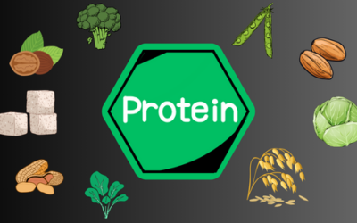 Die 20 besten pflanzlichen Proteinquellen für Sportler